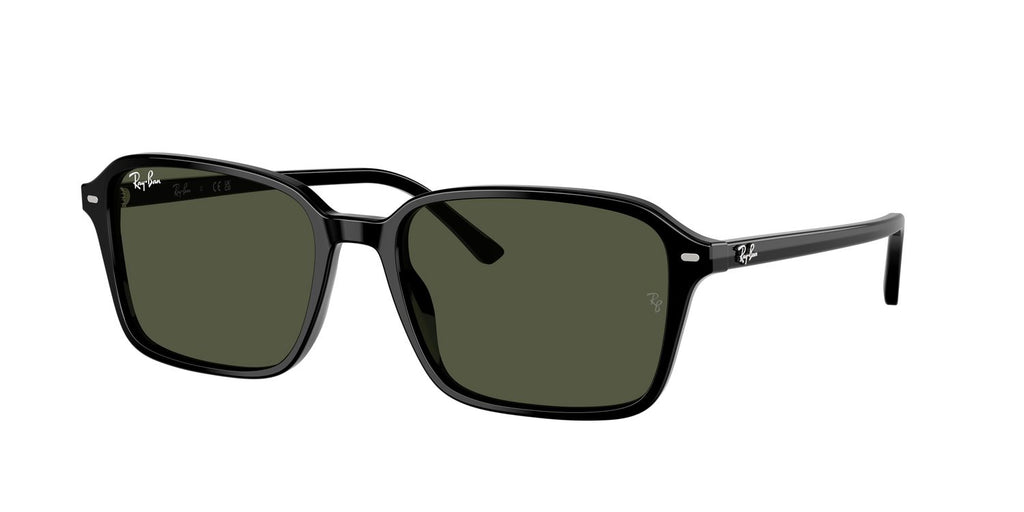 Ray-Ban | 0RB2231
