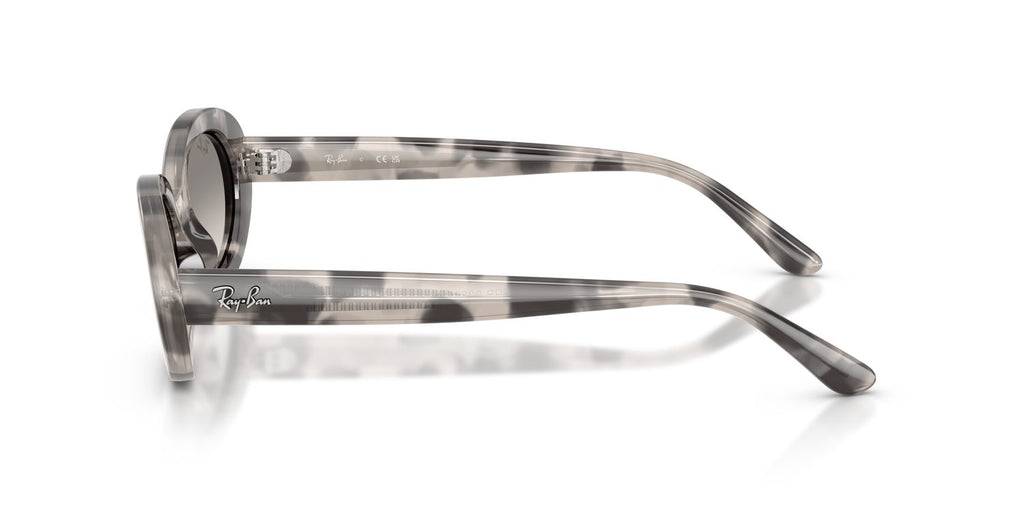 Ray-Ban | 0RB2223