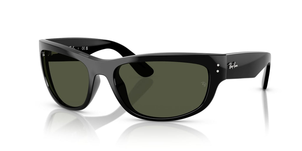Ray-Ban | 0RB2289
