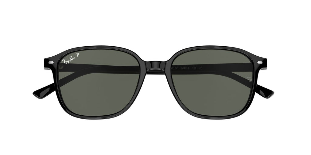 Ray-Ban | 0RB2193