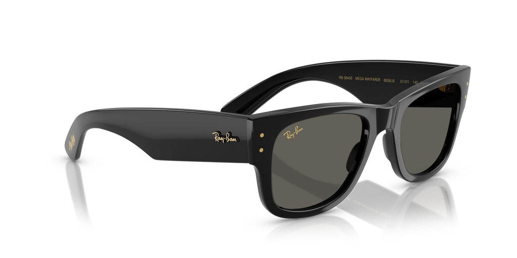 Ray-Ban | 0RB0840S