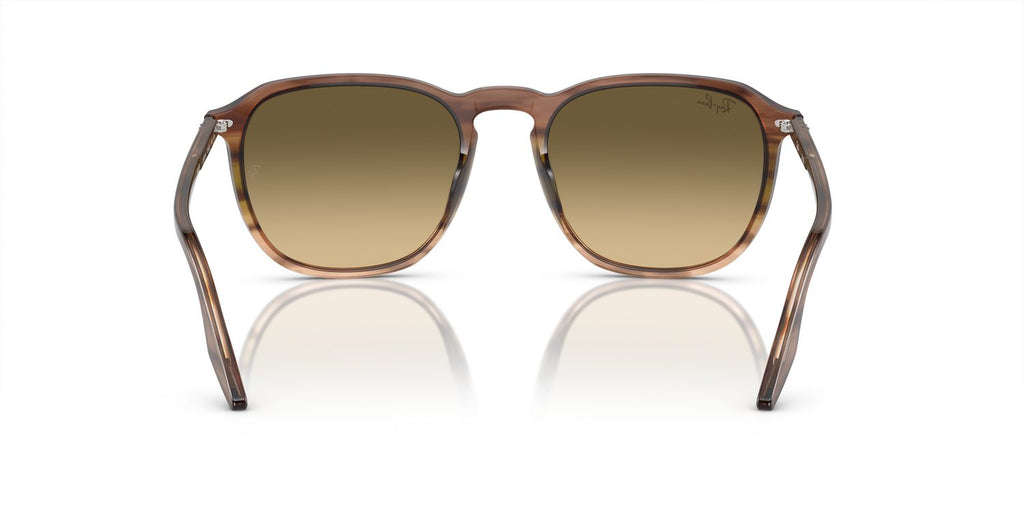 Ray-Ban | 0RB2203