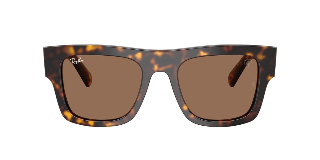 Ray-Ban | 0RB2217M