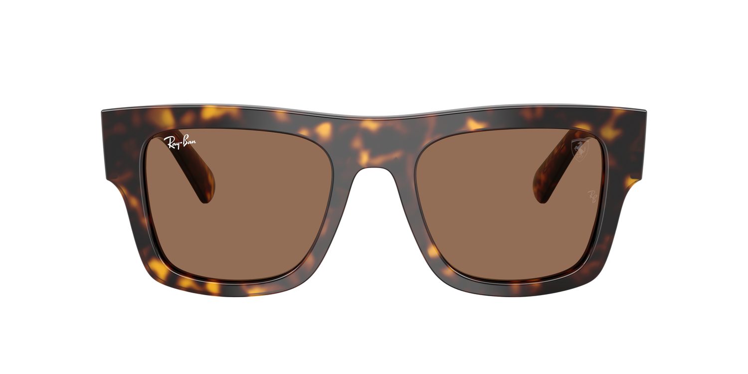 Ray-Ban | 0RB2217M