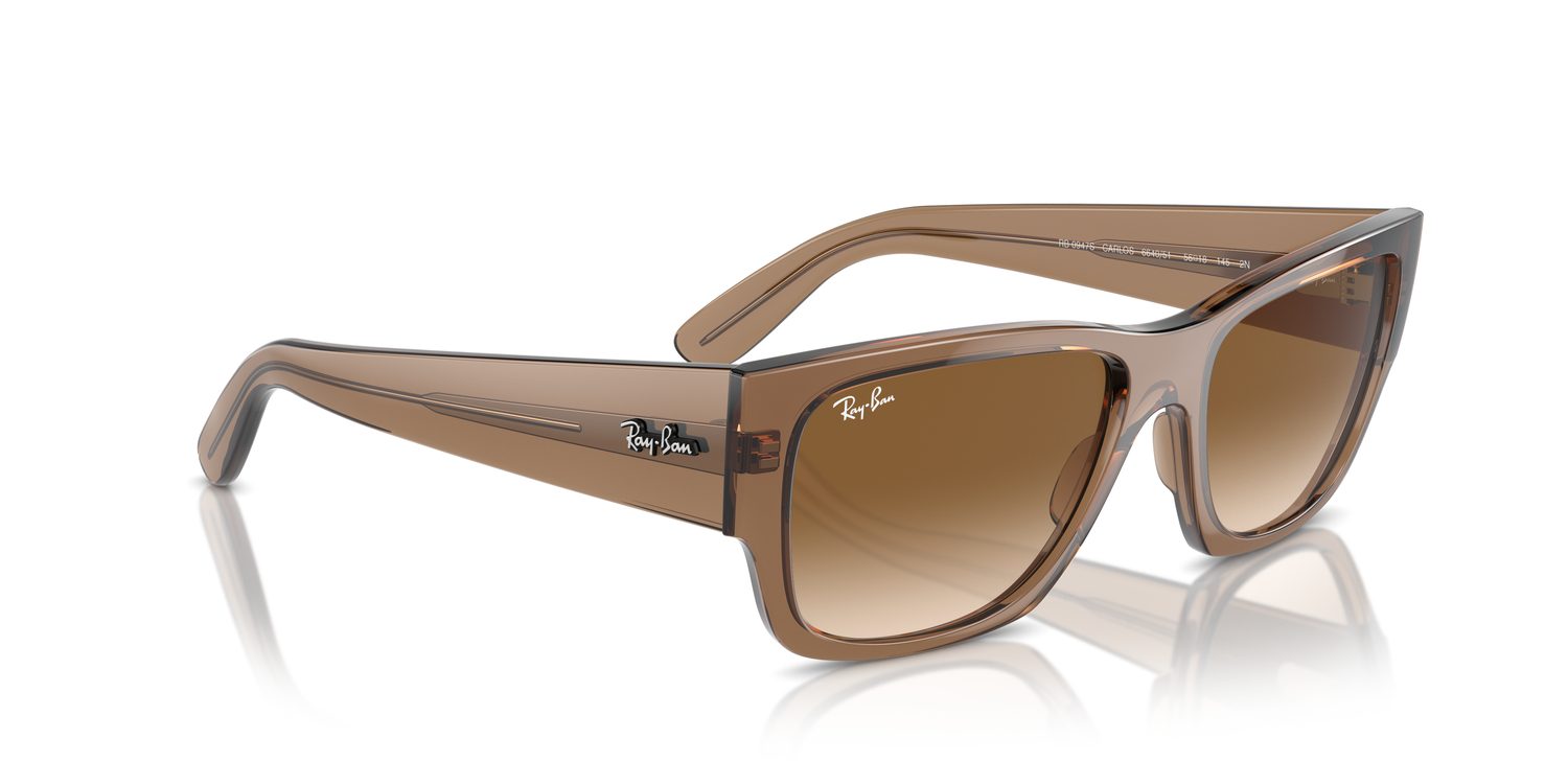 Ray-Ban | 0RB0947S