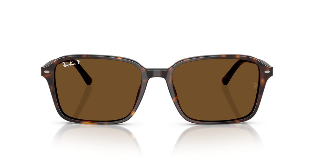 Ray-Ban | 0RB2231