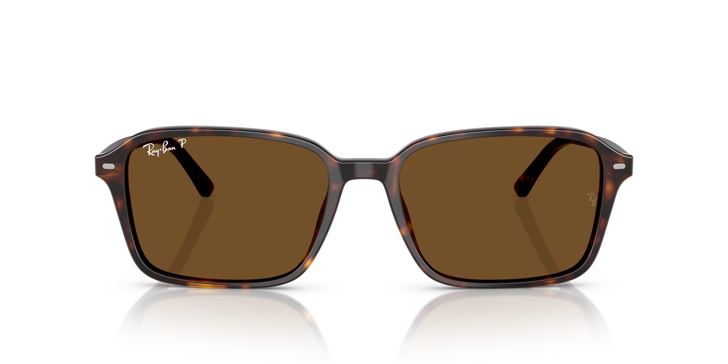 Ray-Ban | 0RB2231