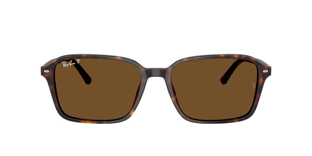 Ray-Ban | 0RB2231