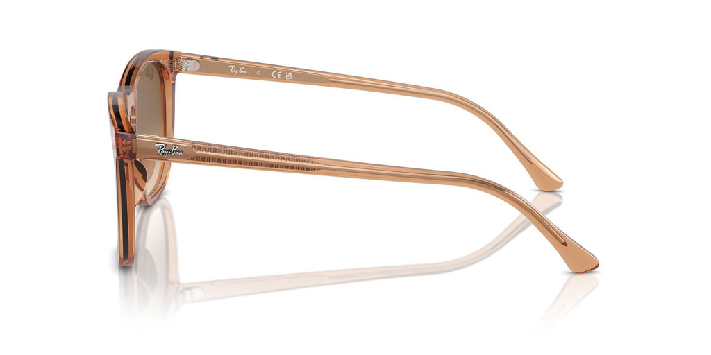 Ray-Ban | 0RB2210