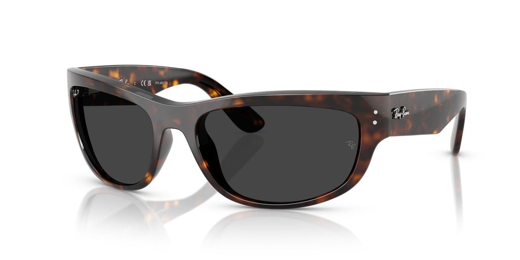 Ray-Ban | 0RB2289