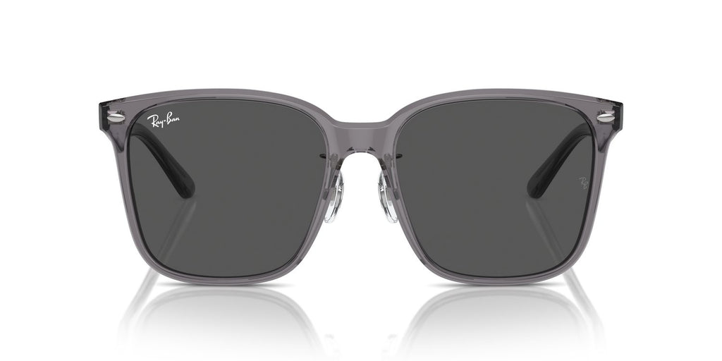 Ray-Ban | 0RB2206D