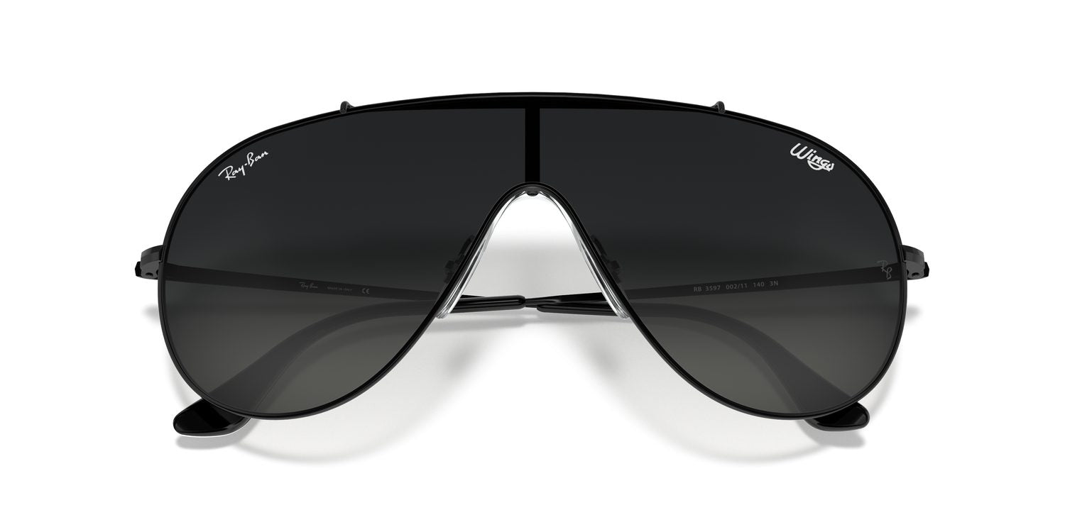 Ray-Ban | 0RB3597