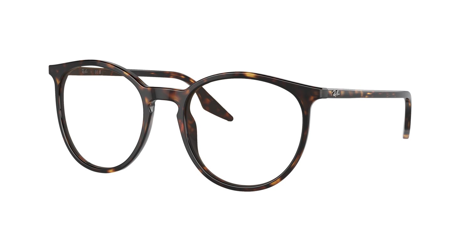 Ray-Ban | 0RB2204
