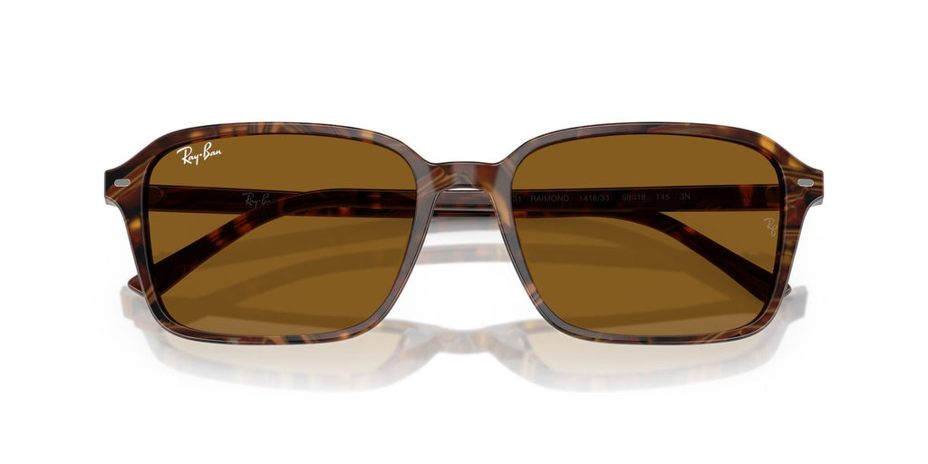 Ray-Ban | 0RB2231