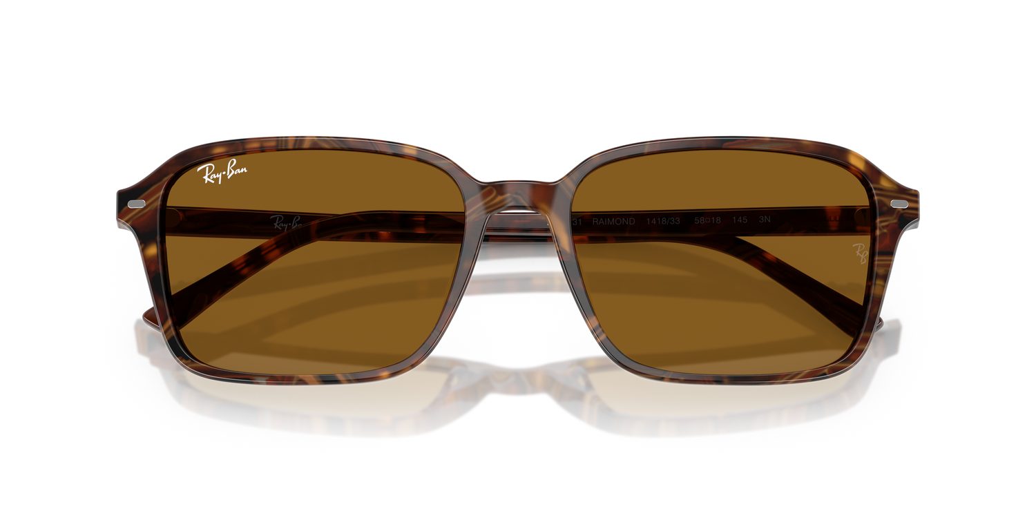 Ray-Ban | 0RB2231