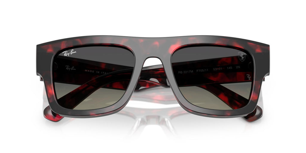 Ray-Ban | 0RB2217M