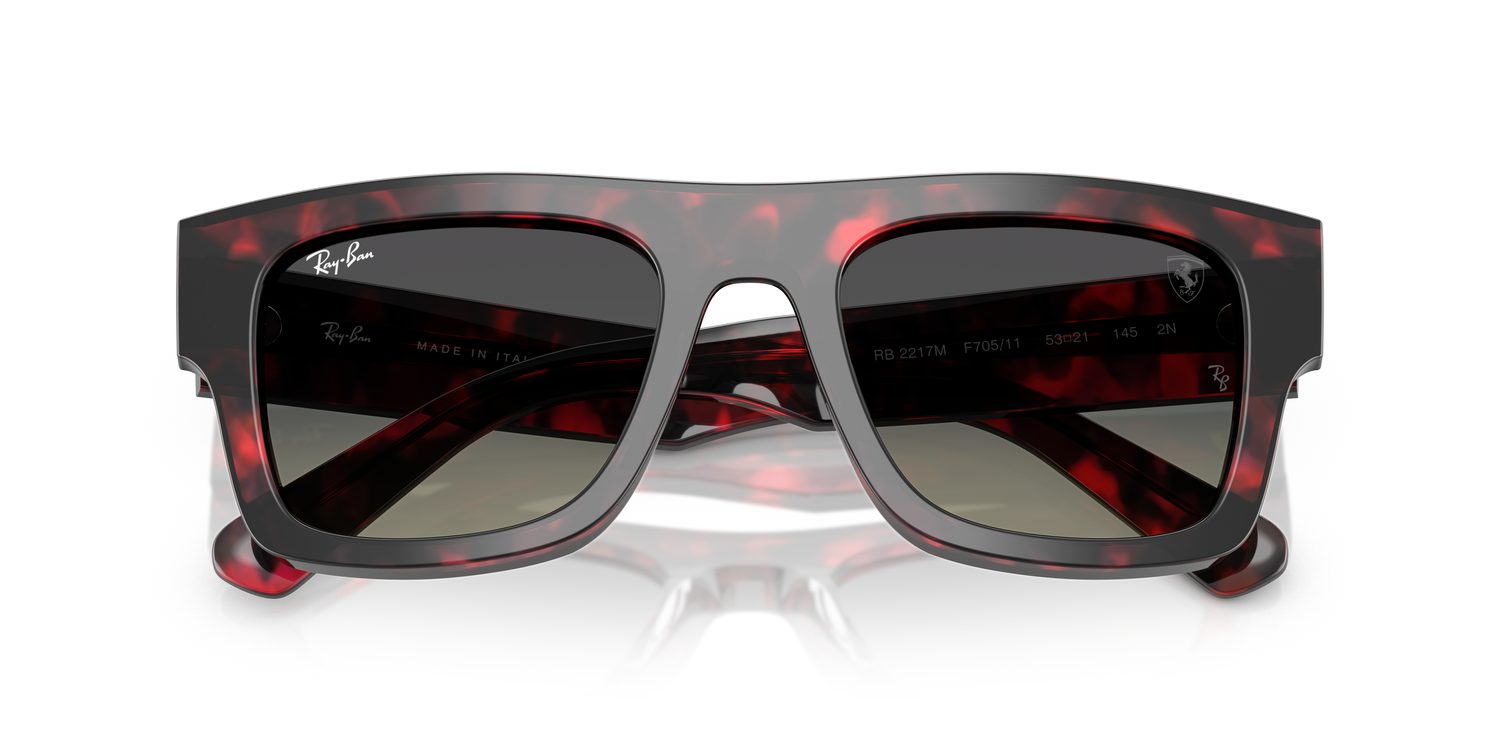 Ray-Ban | 0RB2217M
