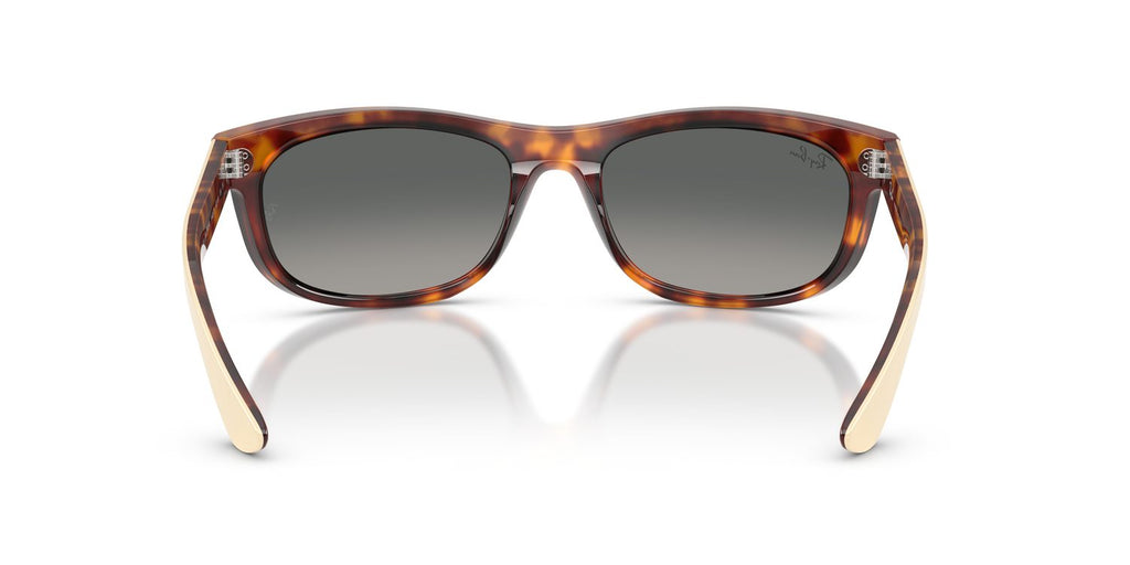 Ray-Ban | 0RB2489