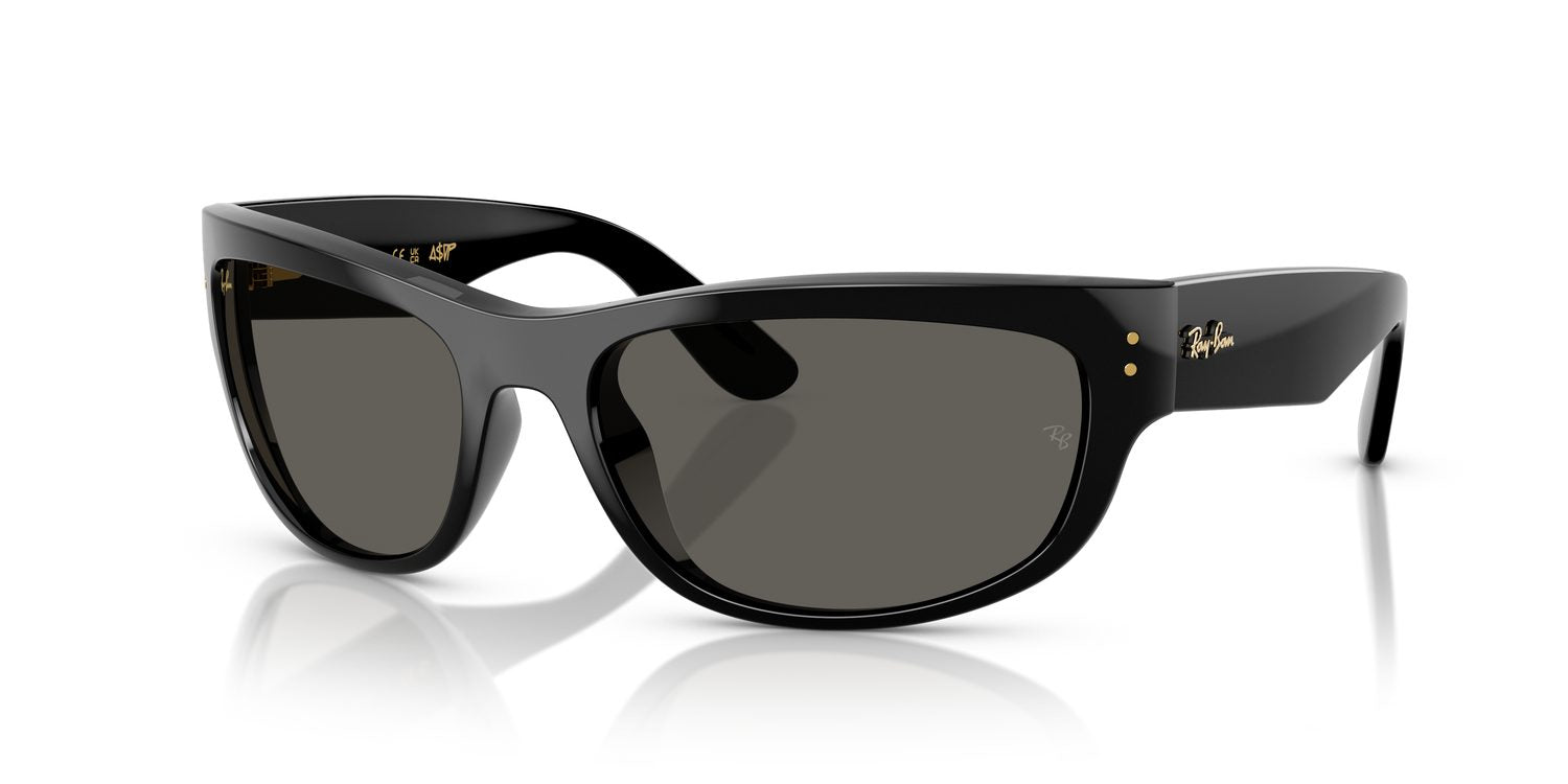Ray-Ban | 0RB2289