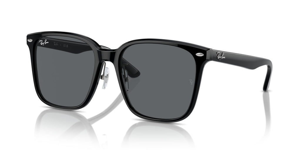 Ray-Ban | 0RB2206D