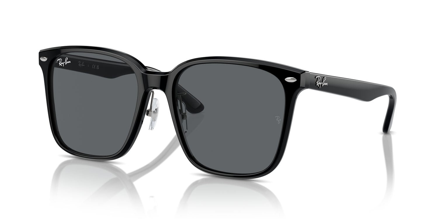 Ray-Ban | 0RB2206D