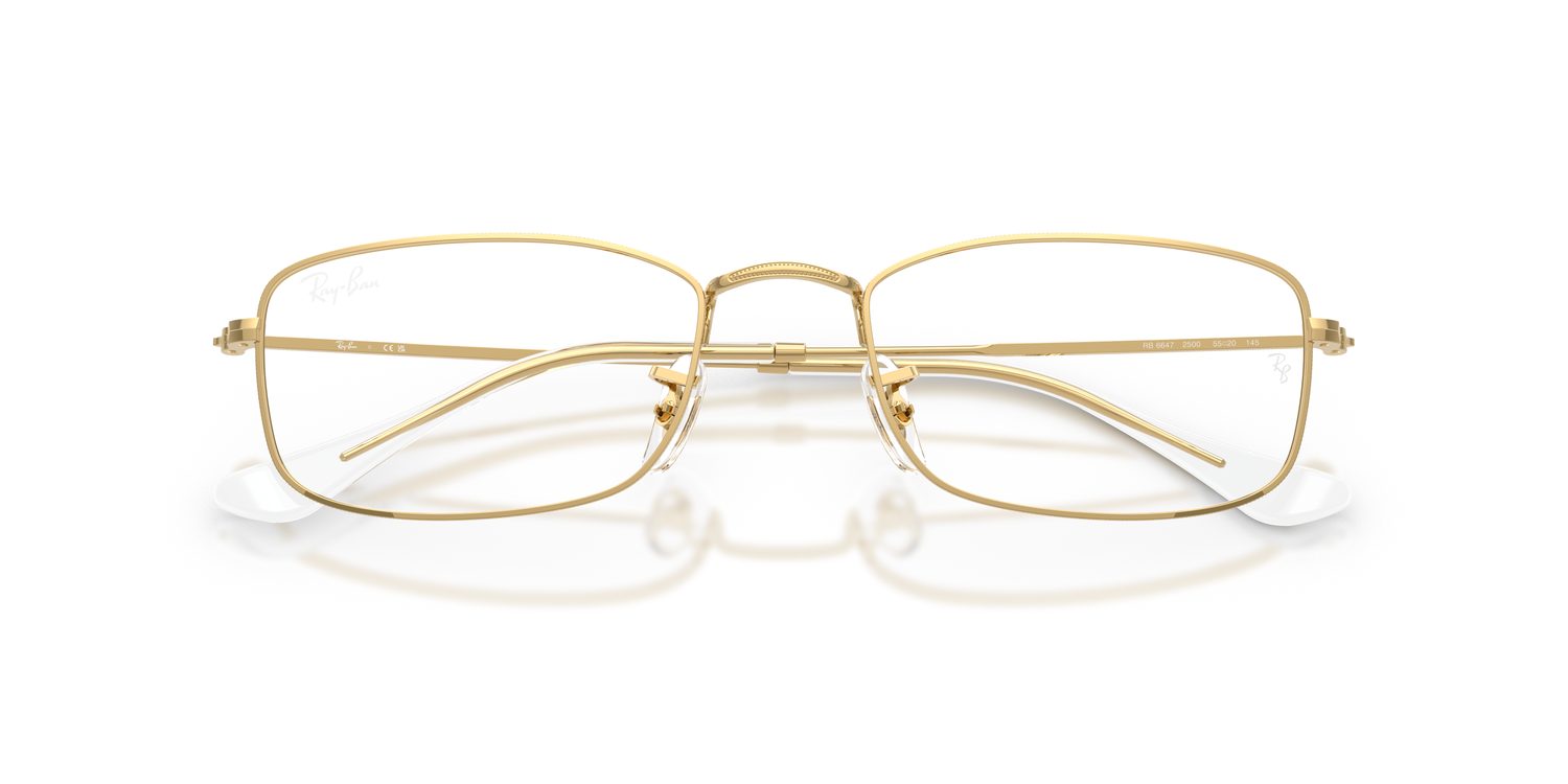 Ray-Ban | 0RX6647 (0RX6647)