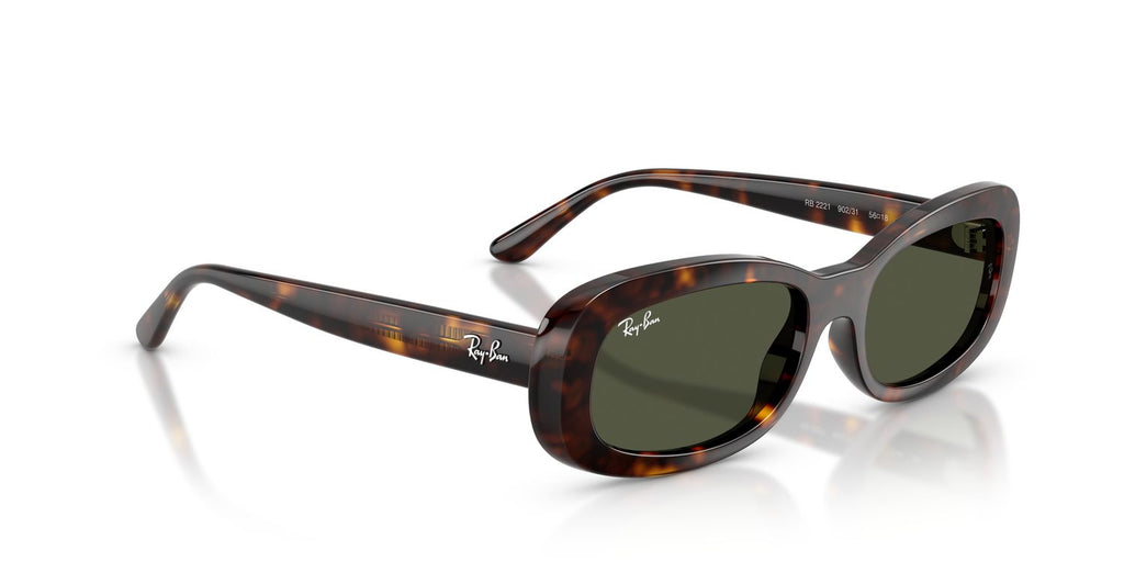 Ray-Ban | 0RB2221