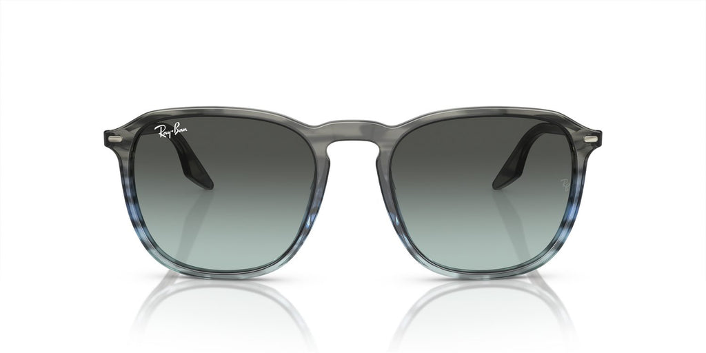 Ray-Ban | 0RB2203