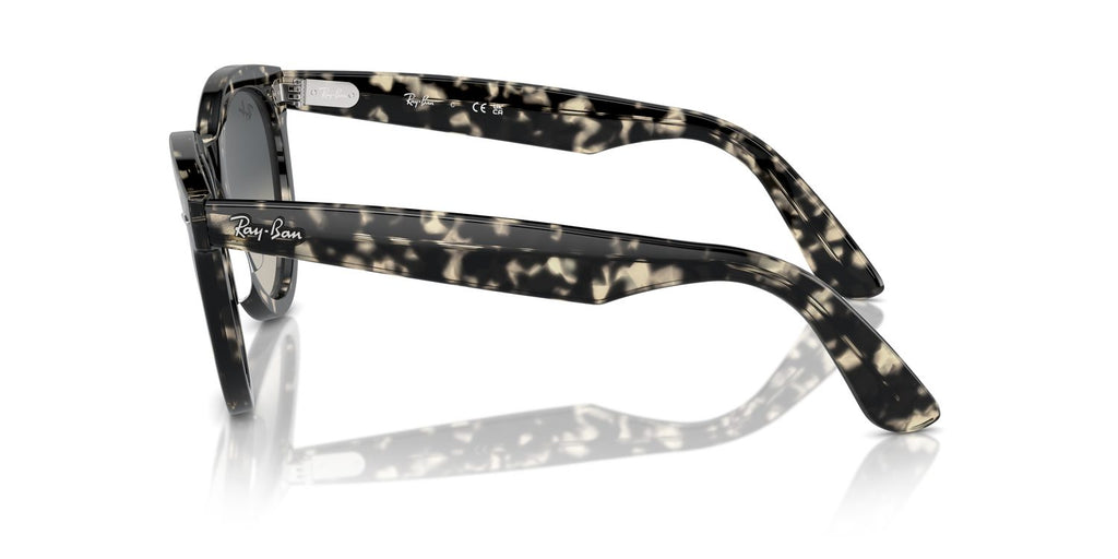 Ray-Ban | 0RB2241