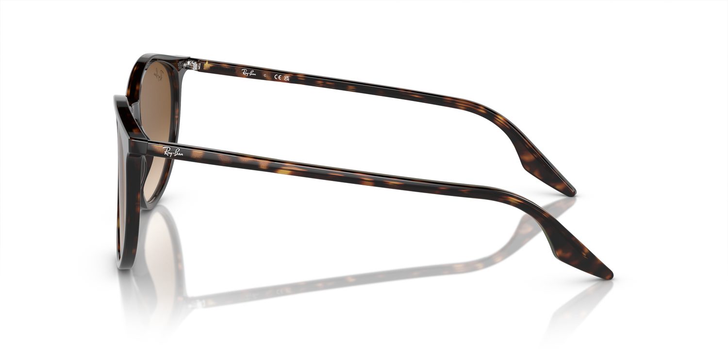 Ray-Ban | 0RB2204