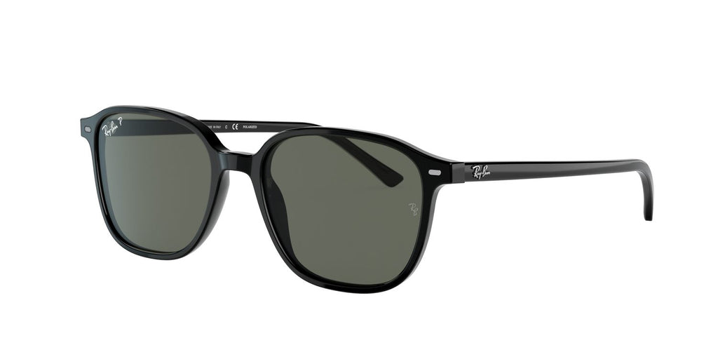 Ray-Ban | 0RB2193