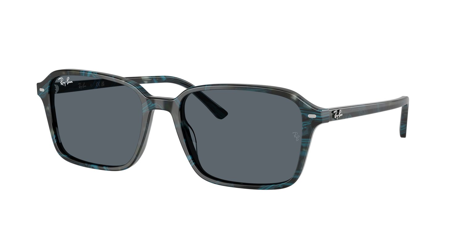 Ray-Ban | 0RB2231