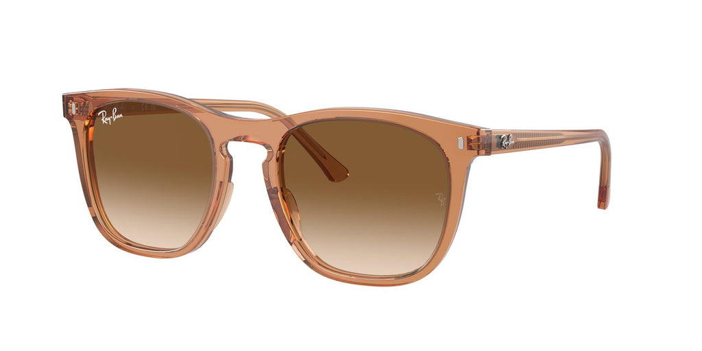 Ray-Ban | 0RB2210