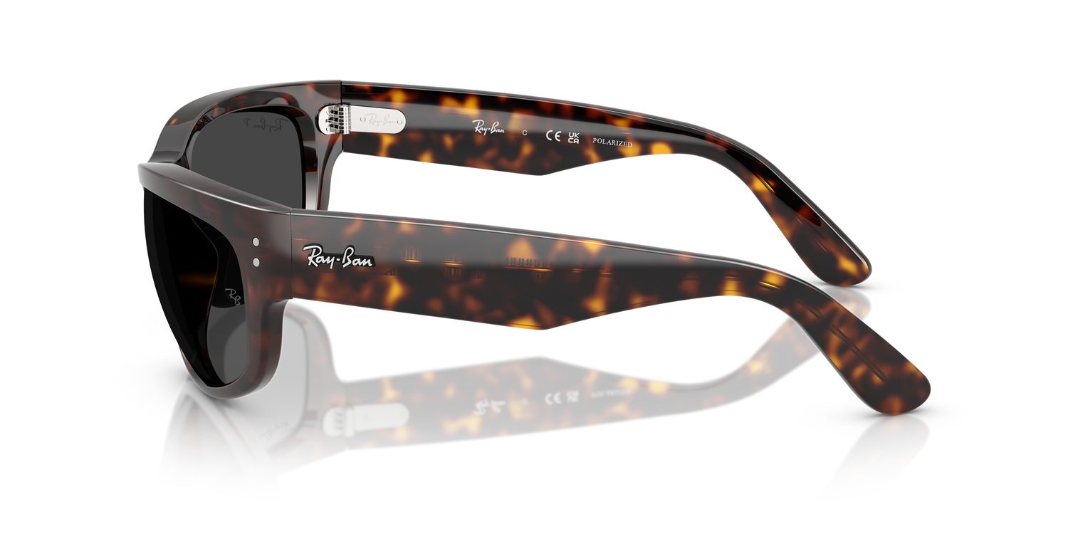 Ray-Ban | 0RB2289
