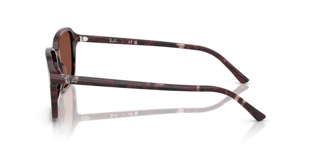 Ray-Ban | 0RB2231