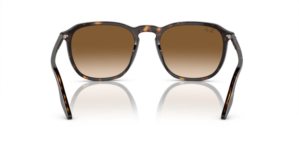Ray-Ban | 0RB2203