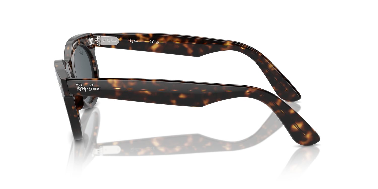 Ray-Ban | 0RB2242