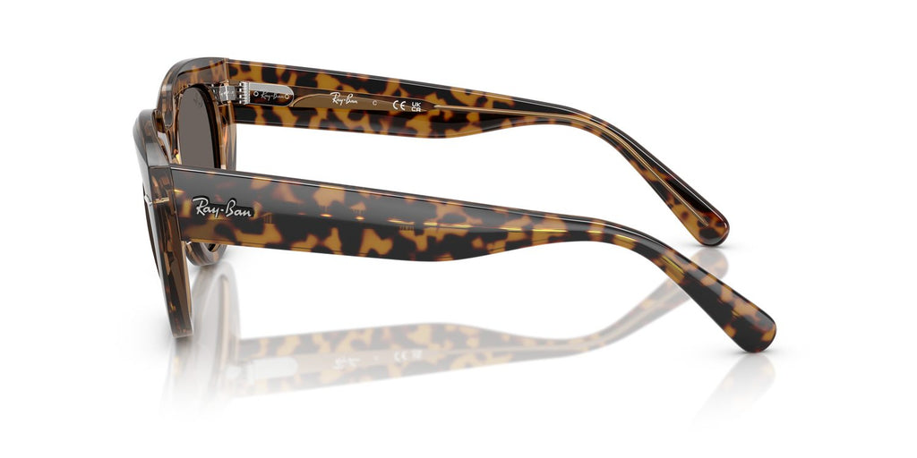 Ray-Ban | 0RB2286