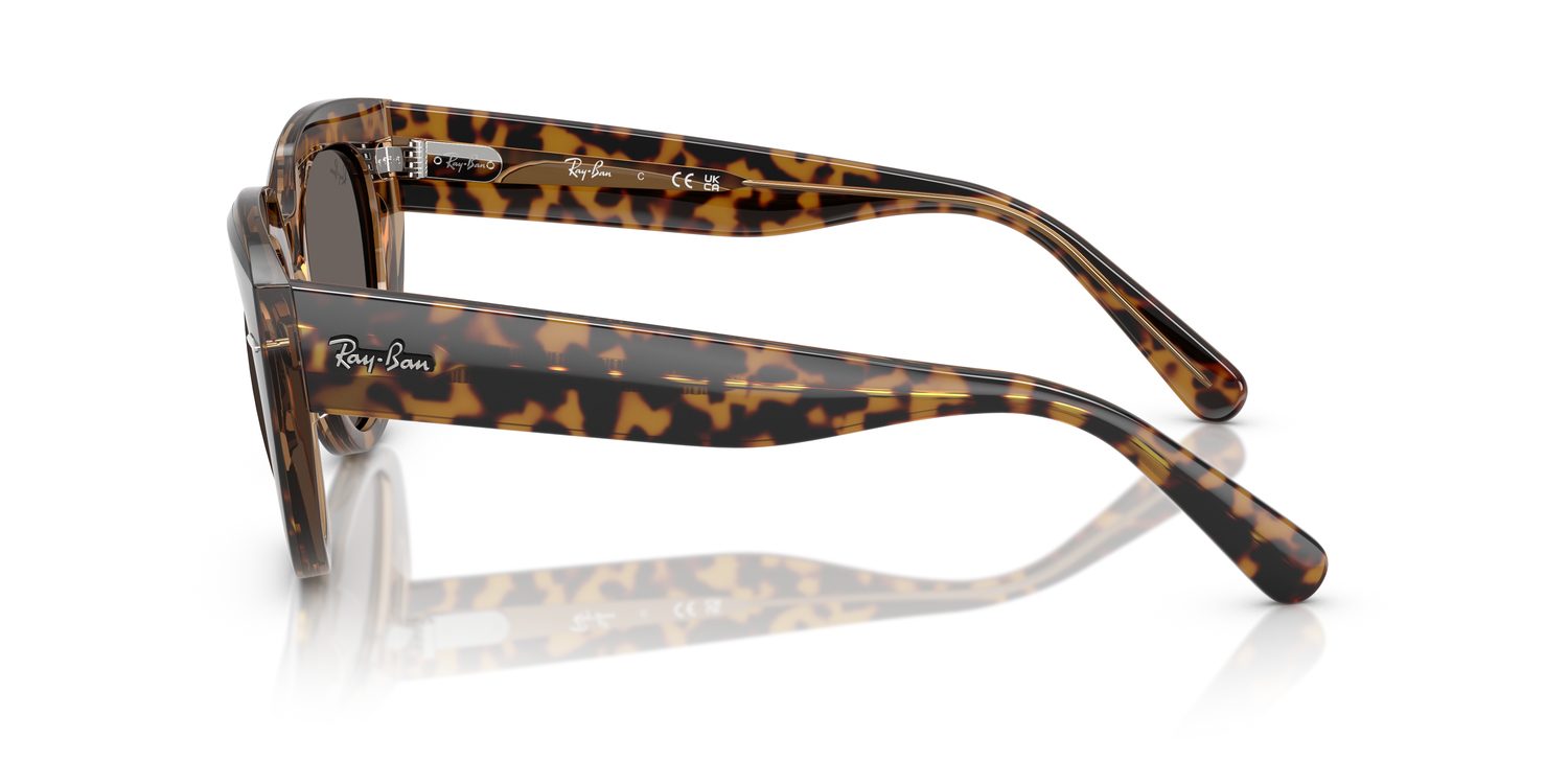 Ray-Ban | 0RB2286