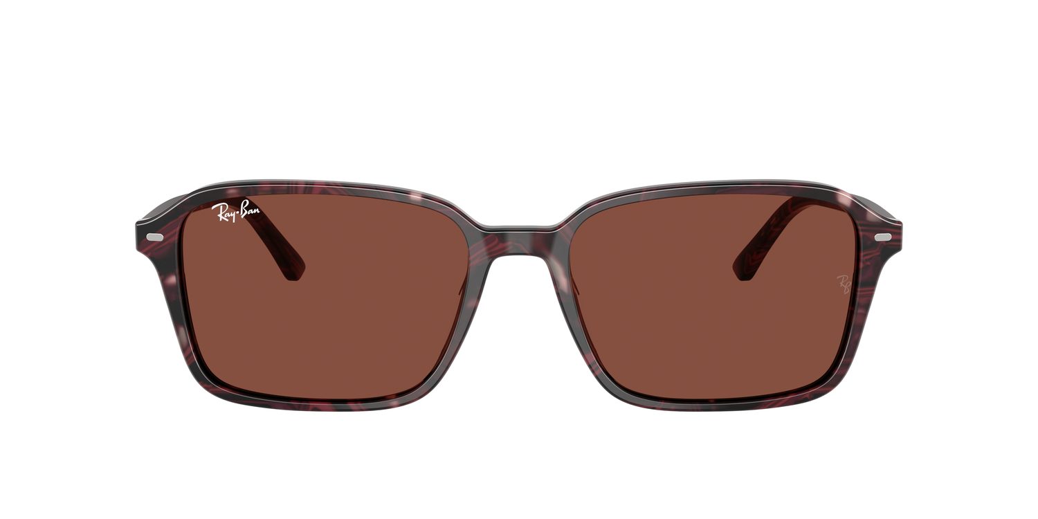 Ray-Ban | 0RB2231