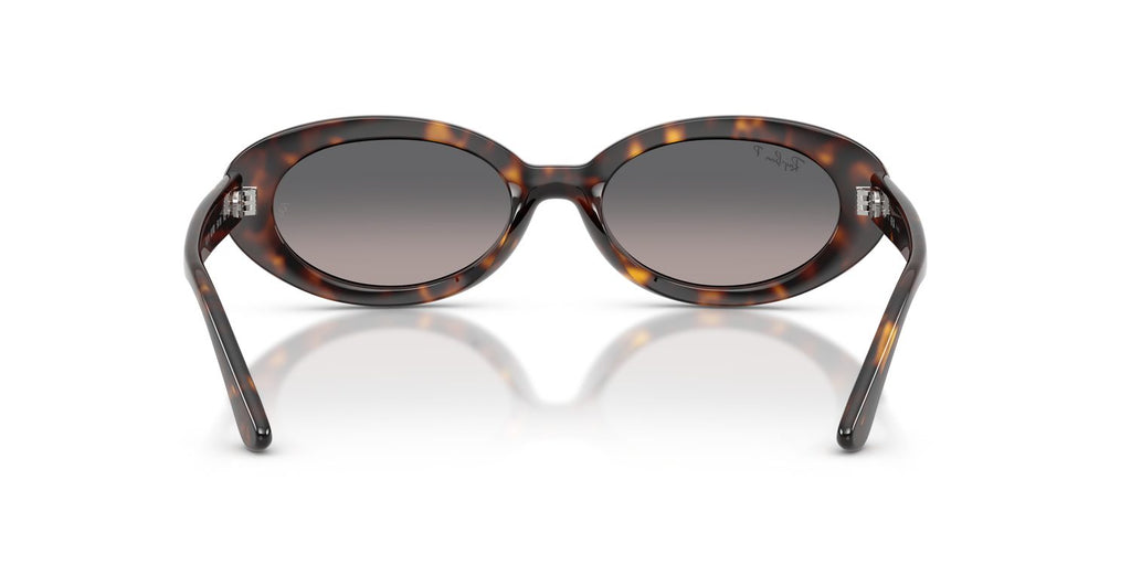 Ray-Ban | 0RB2223