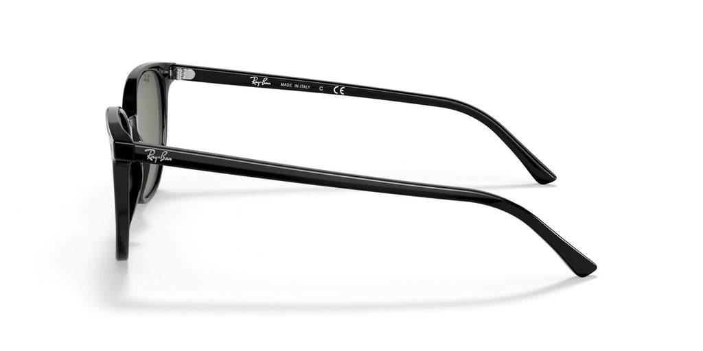 Ray-Ban | 0RB2197