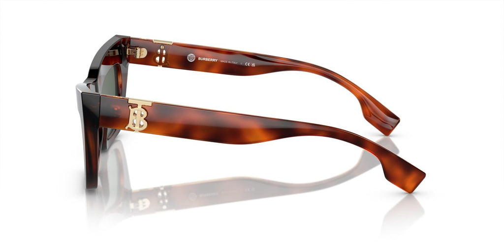 Burberry | 0BE4405