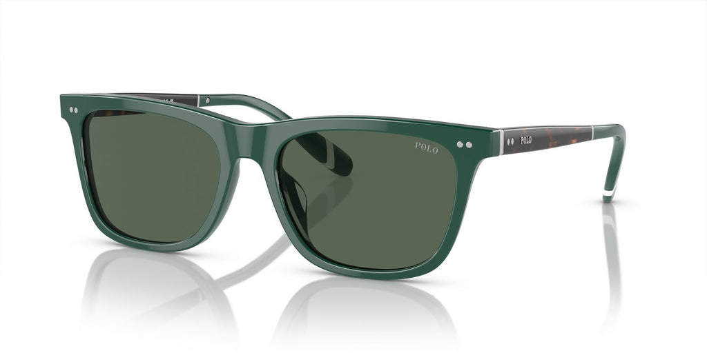 Polo Ralph Lauren | 0PH4205U