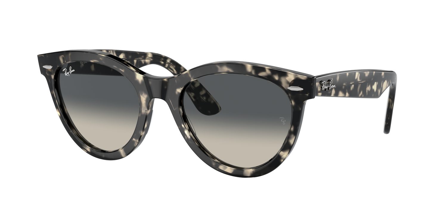 Ray-Ban | 0RB2241