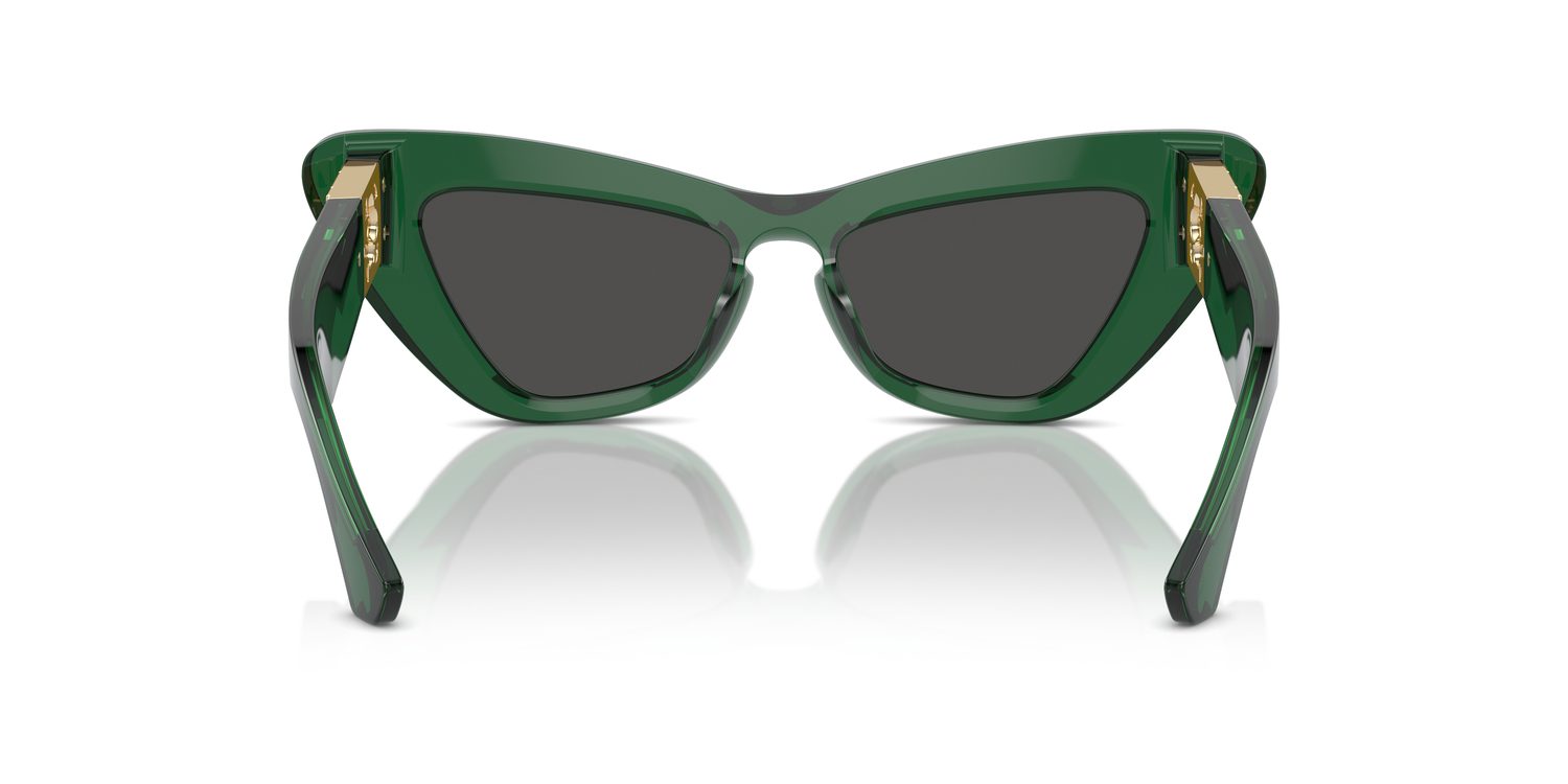 Burberry | 0BE4421U