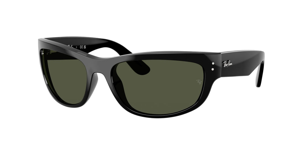Ray-Ban | 0RB2289