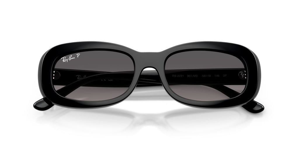 Ray-Ban | 0RB2221