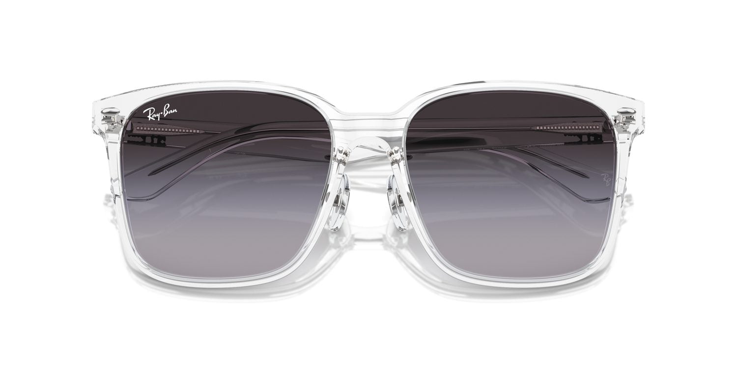 Ray-Ban | 0RB2206D