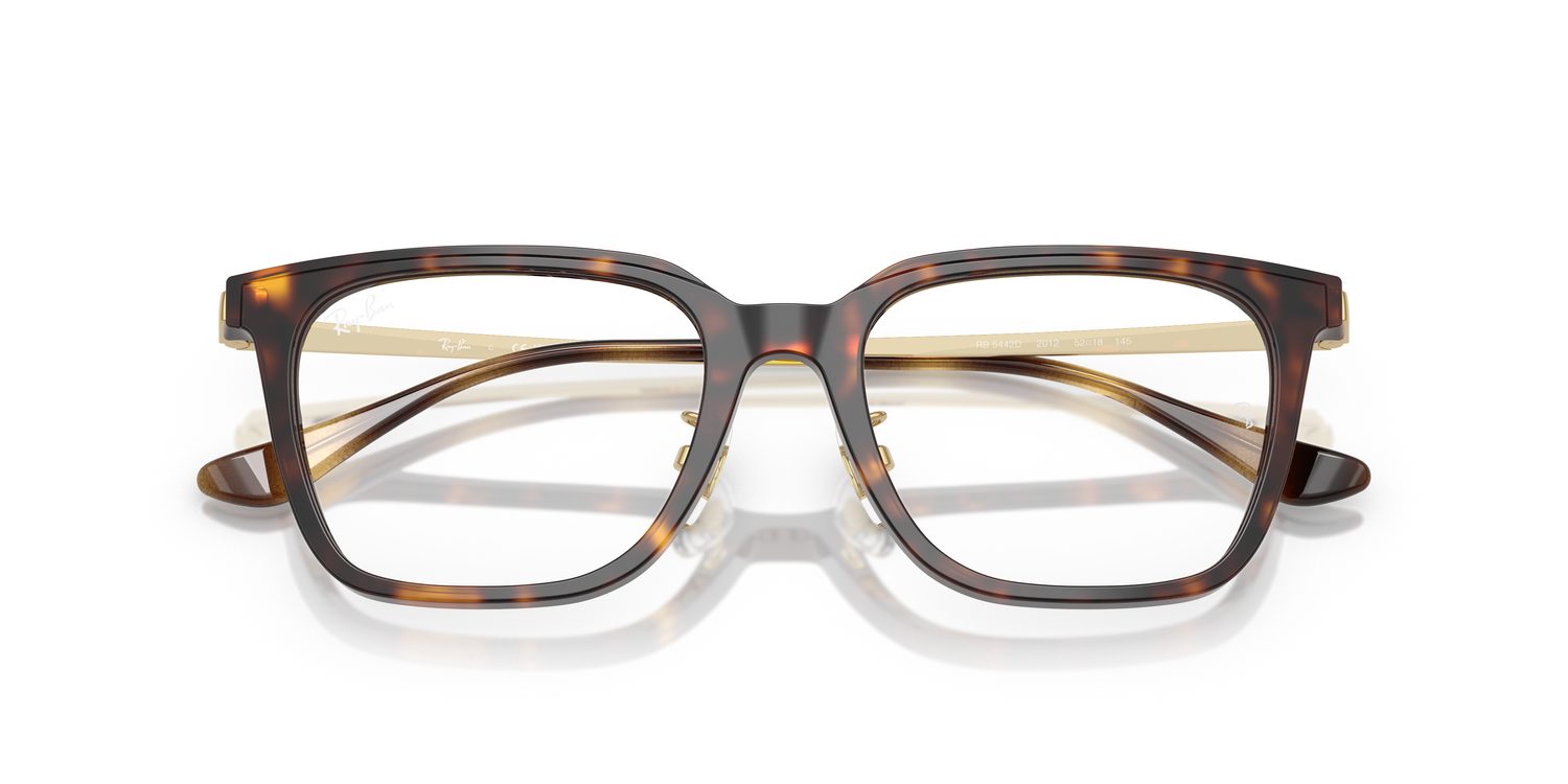 Ray-Ban | 0RX5442D (0RX5442D)